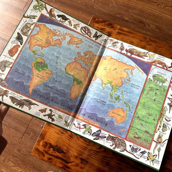 Vintage 1990 The Great Kapok Tree A Tale Of The Amazon Rainforest Hardcover Book - Picture 2 of 8